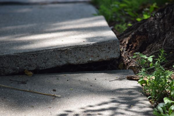 Cost of Sidewalk Leveling in Bothell
