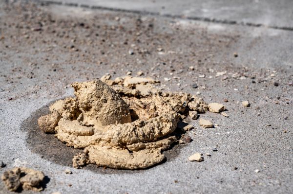 Cost of Driveway Slab Leveling in Bothell