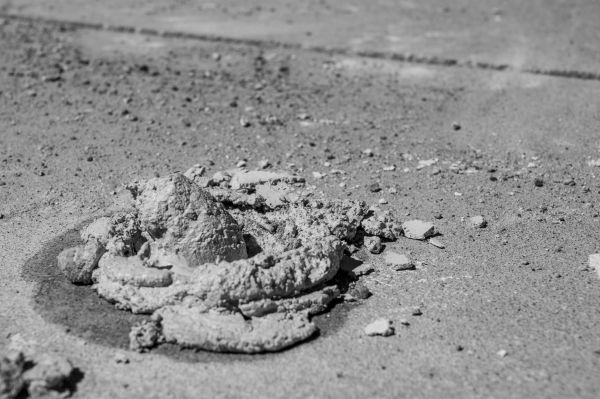 Cost of Concrete Slabjacking in Bothell